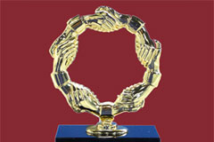 Baohai Piston Wins Award from FAW-VW 