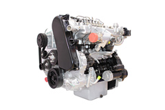 Yunnei D25 Engine