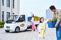 Wei Qiao(REACH) T10 Mini Truck(T10  LHD TC101-5) 