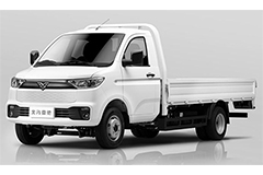 WeiQiao REACH Small Truck T30(T30-1  LHD)