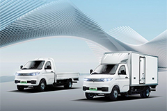 Wei Qiao REACH Small Truck T30(T30-2  LHD)