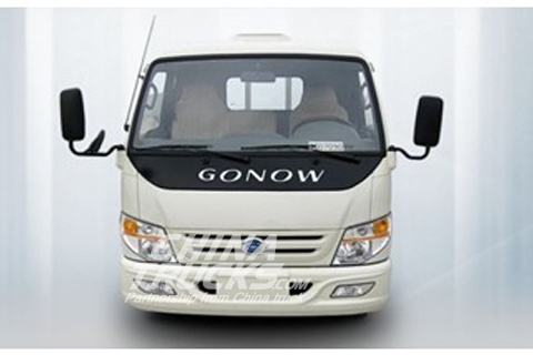 Geo light truck