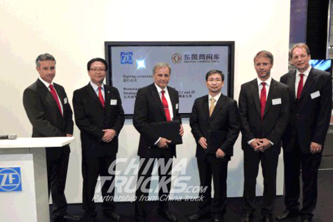 DFCV and ZF cooperates