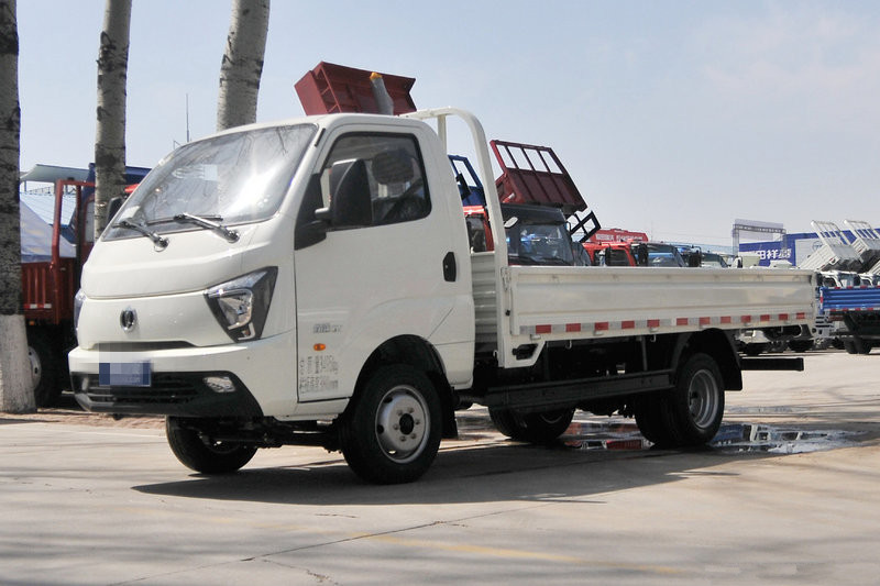 FEIDI Ditu GX 1.6L 122hp gasoline 3.95m Euro 6 Sing-row Drop-side Mini Truck(FD1036D66K6-2)